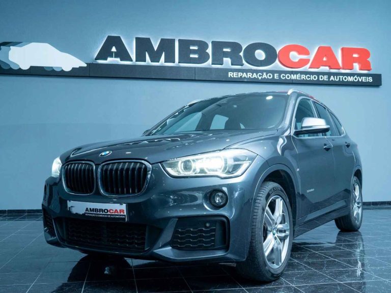 BMW X1 16 d sDrive Pack M (17)